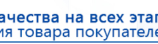 Дэнас Орто купить в Нижнекамске, Аппараты Дэнас купить в Нижнекамске, Дэнас официальный сайт denasolm.ru